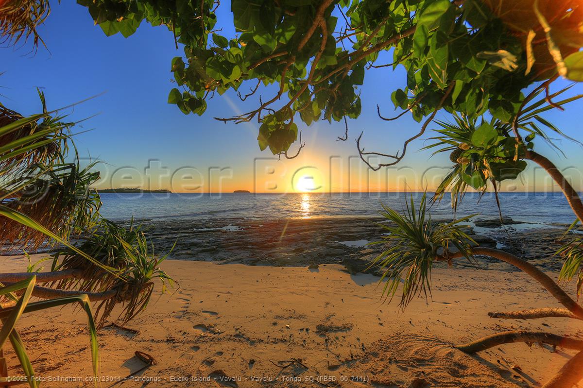 Peter Bellingham Photography Pandanus - Eueiki Island - Vava'u - Vava'u - Tonga SQ (PB5D 00 7441)